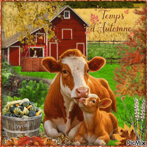 Vache d'automne